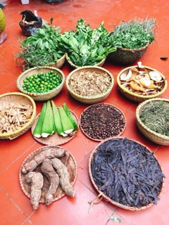 Dầu gội thảo dược thiên nhiên