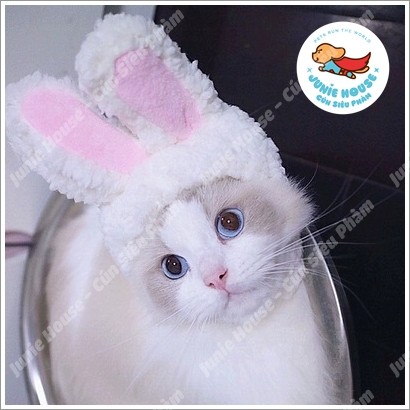 Nón con thỏ trắng dễ thương cho chó mèo