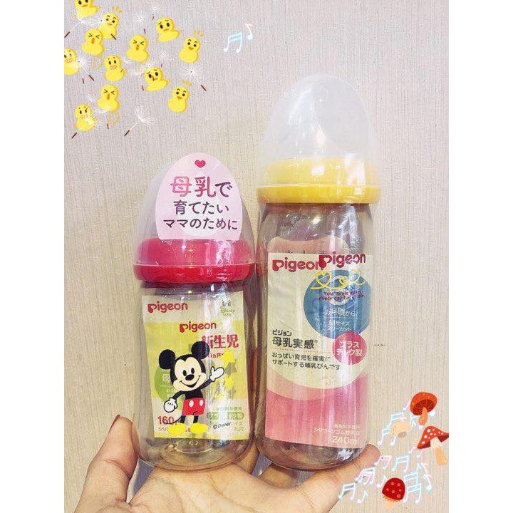 Bình Pigion Nhật bản