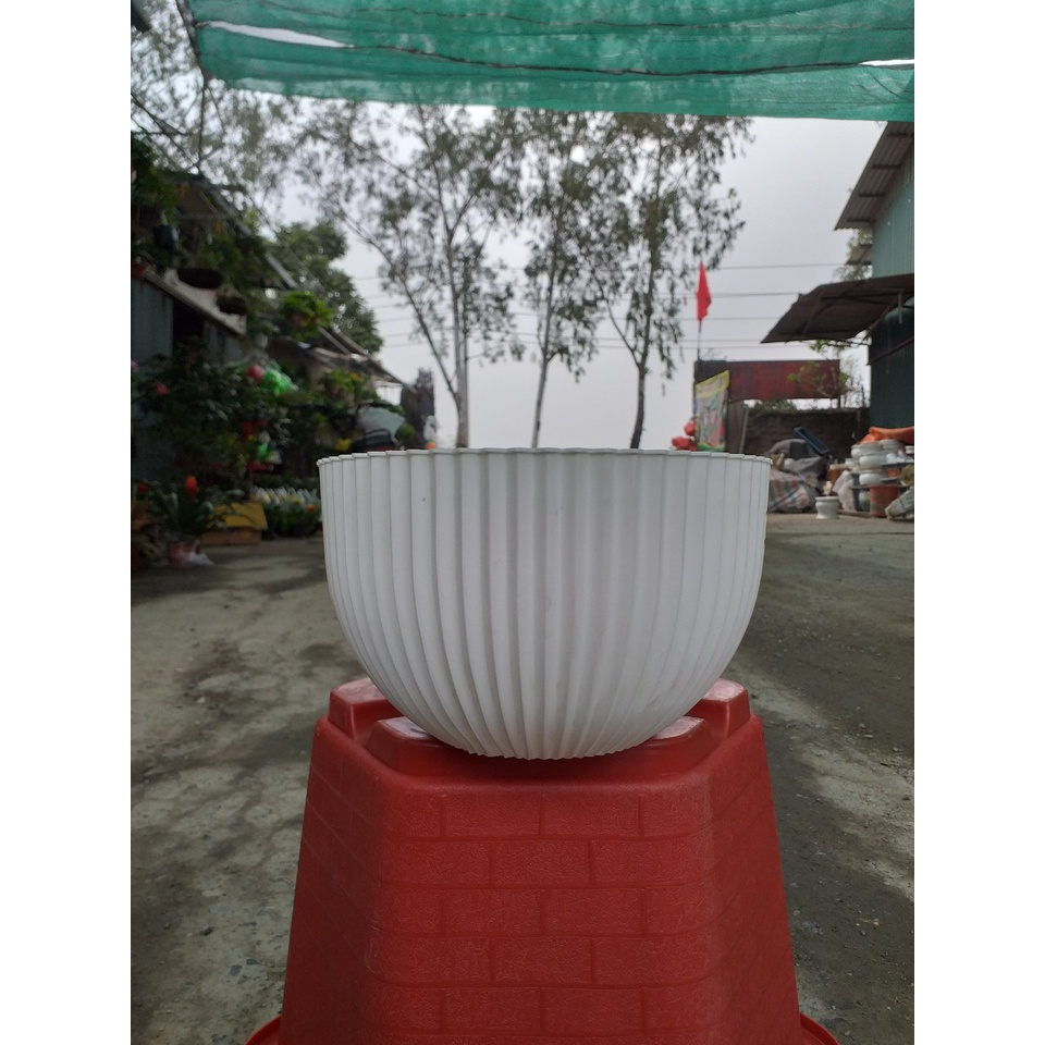 CHẬU NHỰA TRỒNG CÂY GÂN SỌC MÀU TRẮNG KÈM MÓC TREO