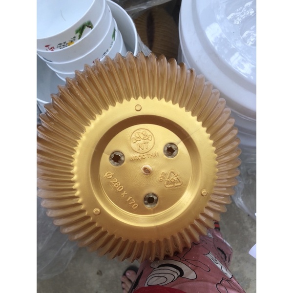 {Mẫu mới} Chậu gân sọc đk 25-28 trồng hoa kiểng/ để bàn siêu xinh