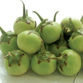 Hạt giống cà pháo xanh