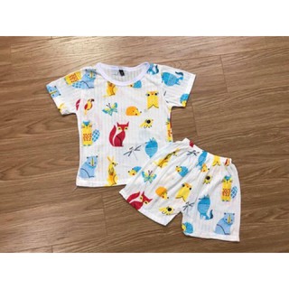 Bộ cotton giấy cong91