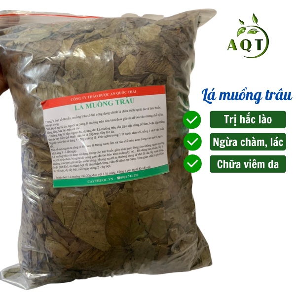 Lá Muồng Trâu khô (1KG) Hỗ Trợ Người Hắc Lào, Vẩy Nến