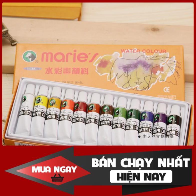 MÀU NƯỚC MARIE'S 12 MÀU E1306