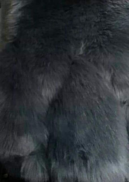 Áo lông thỏ gilê