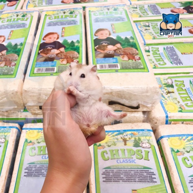 Mùn cưa cao cấp Chipsi Classic