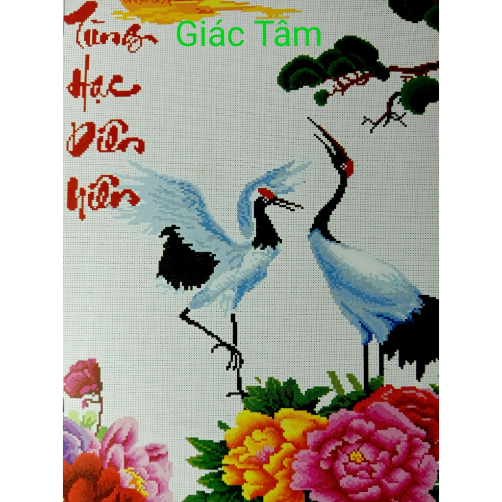 Tranh thêu PHÚC THỌ DIÊN NIÊN 2 - 51x75cm - P8530 - TÙNG HẠC DIÊN NIÊN - HOA MẪU ĐƠN CHỮ - tranh thêu chữ thập chưa thêu