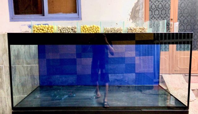 Hồ cá 80x40x50 dài rộng cao kính 5ly đáy 8ly