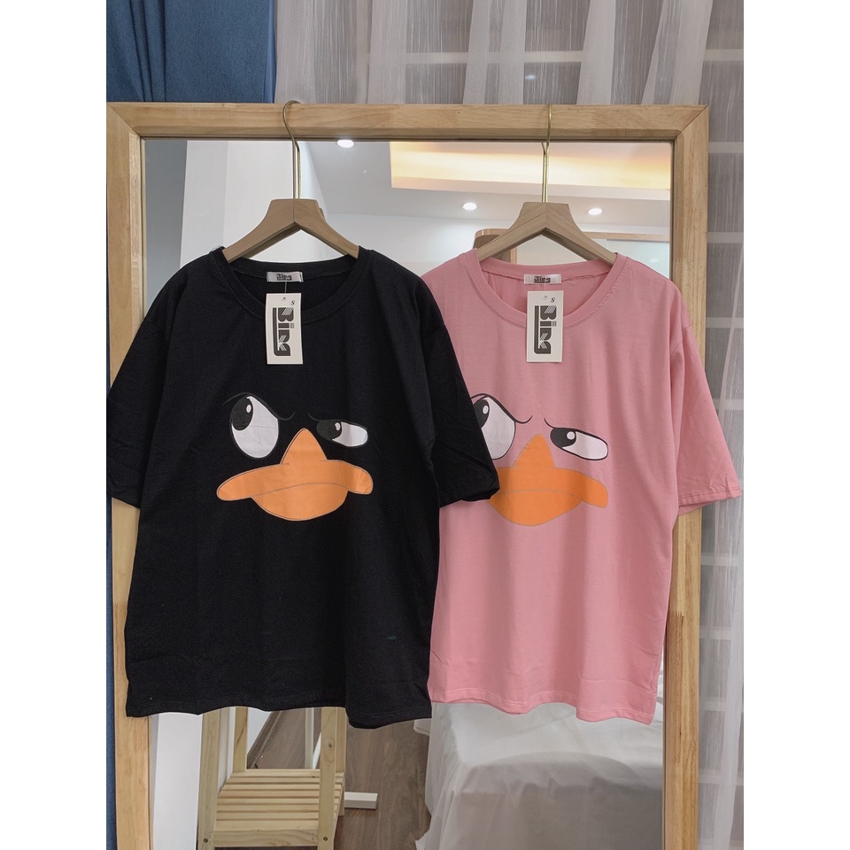 Áo thun nam nữ Unisex form rộng Bingshop