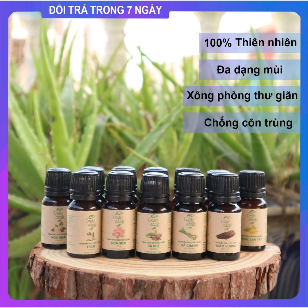 Tinh Dầu Mộc Nhiên Nguyên Chất Thiên Nhiên Chọn Mùi | Tinh Dầu Xông Phòng Thư Giãn Khử Mùi Đuổi Muỗi Côn Trùng Mộc Nhiên