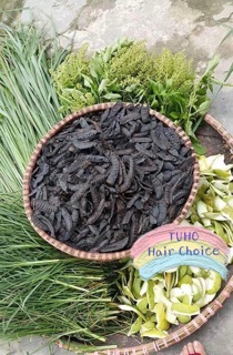 Dầu Gội Bồ Kết Thảo Dược Kích Mọc Tóc