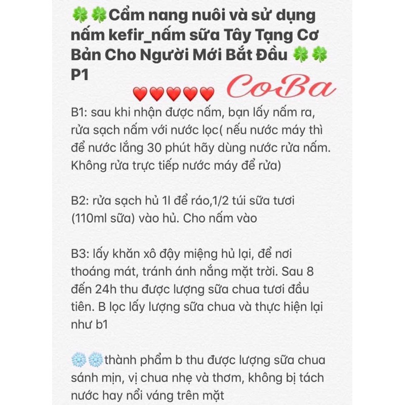 Nấm Sữa Kefir Làm Sữa Chua Tại Nhà Tặng Sổ Tay Hướng Dẫn Chi Tiết