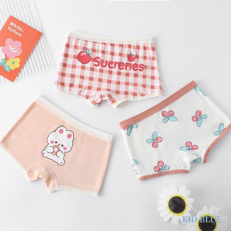 Quần Lót Cotton Không Đường May Kháng Khuẩn Họa Tiết Thỏ Hoạt Hình Dễ Thương Xinh Xắn Dành Cho Nữ