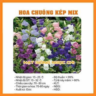 Hạt giống hoa chuông kép mix - 50 hạt