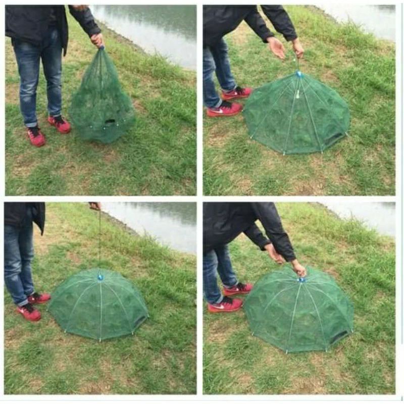 Lồng ô Bát Quái 8 cửa chuyên bắt cá, tôm, cua, lươn, trạch