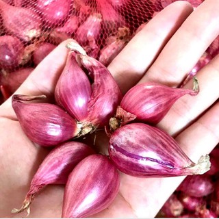 1kg hành tím lý sơn