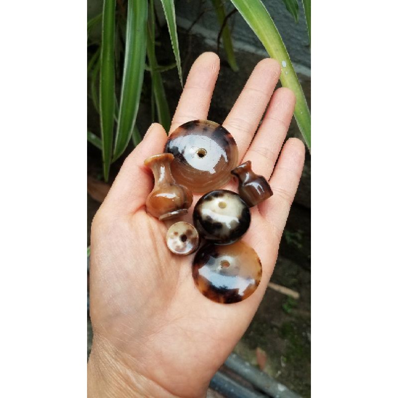 Nậm sừng dành cho lồng khuyên lỡ, nhỡ