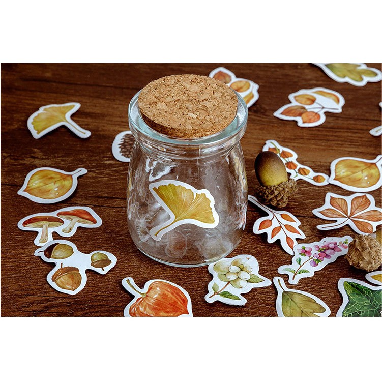 Hộp 46 miếng sticker mẫu lá phong và mùa thu