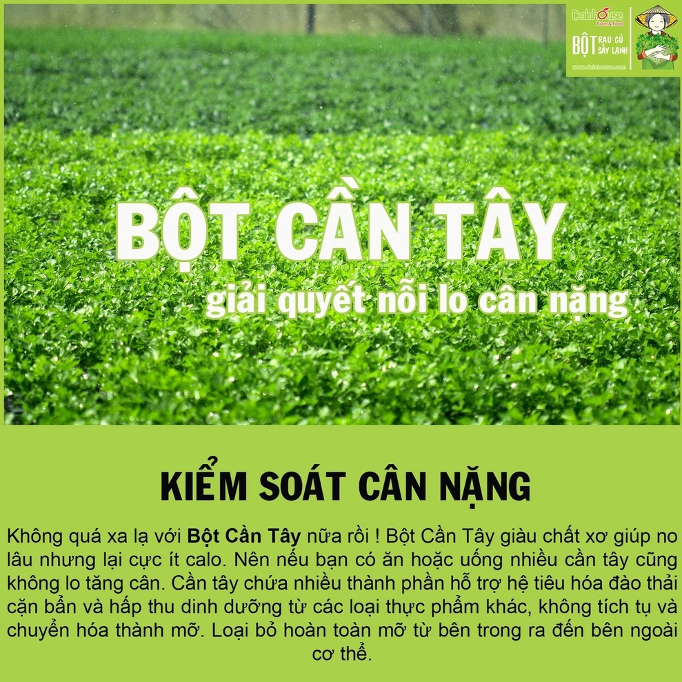 Bột rau cần tây nguyên chất sấy lạnh Dalahouse 60gr công nghệ sấy lạnh tiêu chuẩn Châu Âu