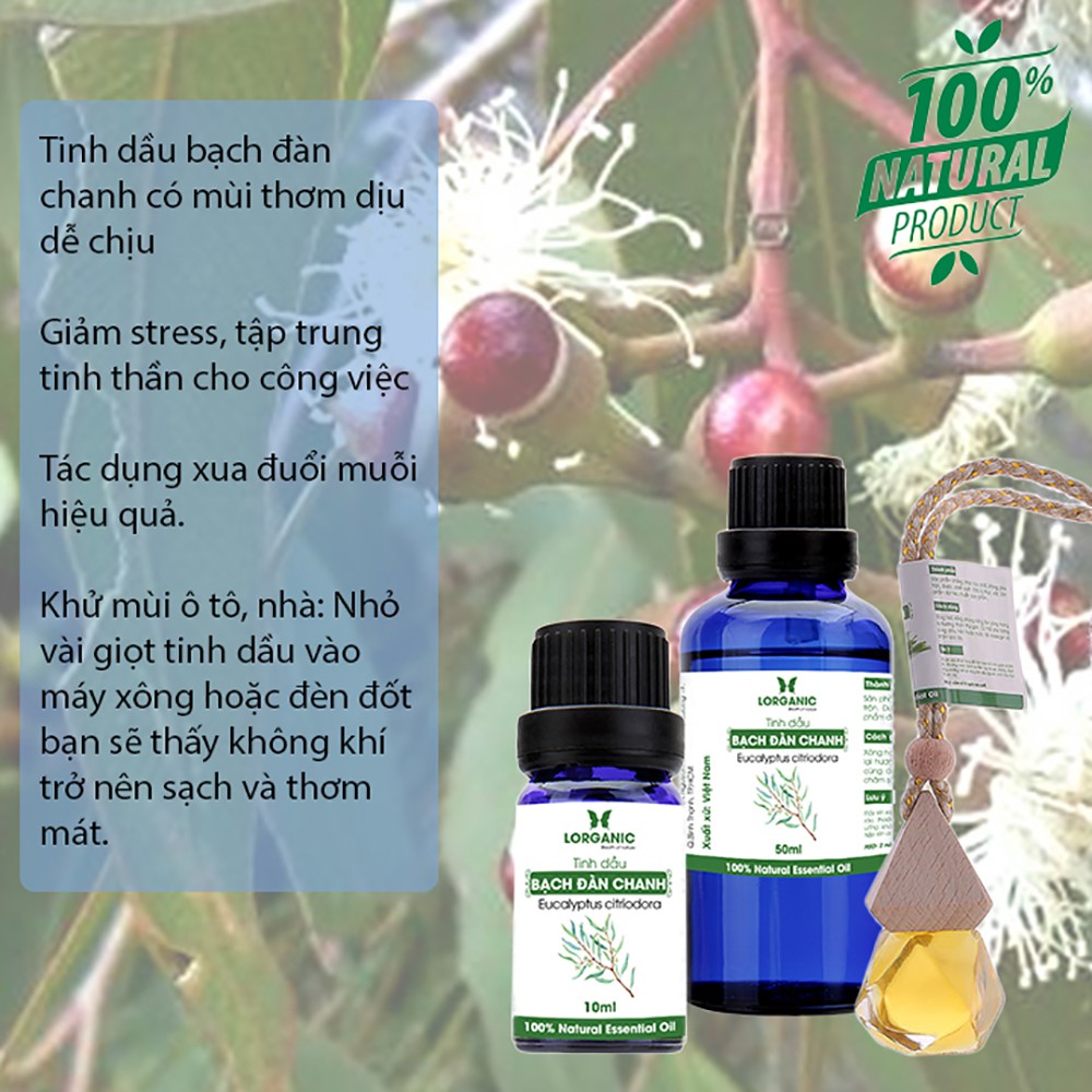 [FREE SHIP 50K] Tinh dầu bạch đàn chanh Eucalyptus citriodora 10ml