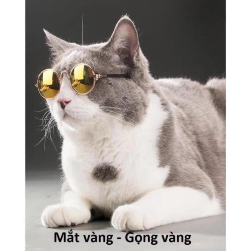 Kính chó mèo gọng vàng kính mát cho thú cưng chống tia UV (One size) gv