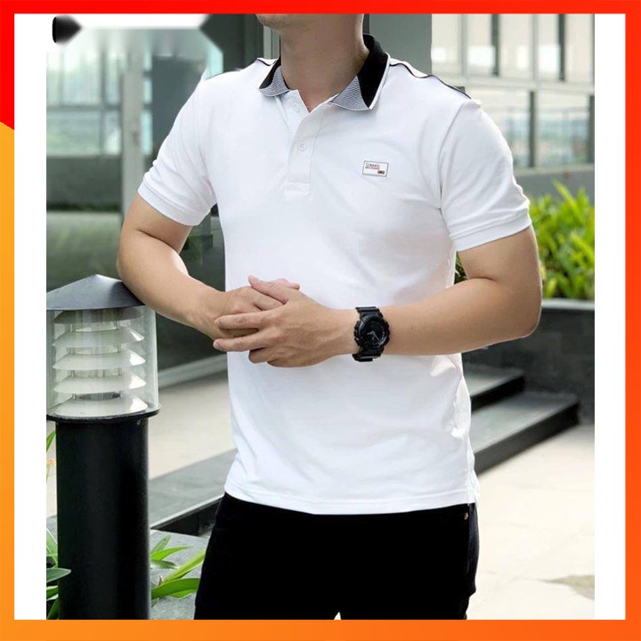 Áo Thun Nam 🌵FREESHIP – HÀNG CHẤT🌵 Cổ Bẻ Tay Ngắn Phối Bo Đính Logo, Thun Cá Sấu Poly 4 Chiều Cao Cấp | BigBuy360 - bigbuy360.vn