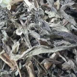 1kg cây bồ công anh khô