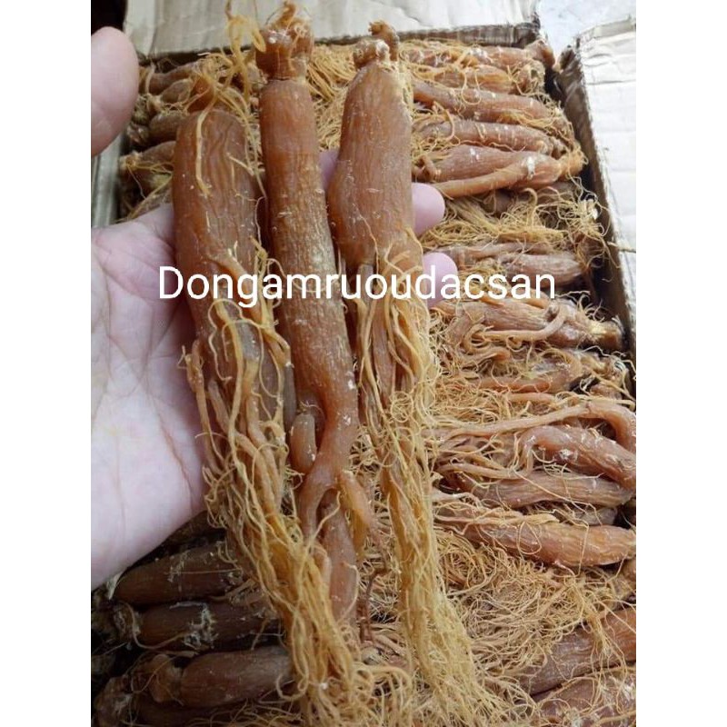HỒNG SÂM KHÔ 100G sâm đủ size thơm ngon