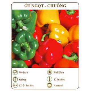 Hạt giống ớt ngọt - chuông - THE XANH