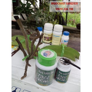 Keo liền sẹo cây mỹ morrison 200g