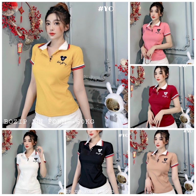 Áo thun nữ cổ trụ cao cấp thun bozip ôm body form dưới 60kg đầu chuột màu trắng