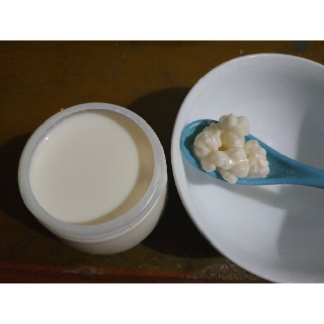 Nấm Kefir Hy Lạp làm sữa chua siêu ngon