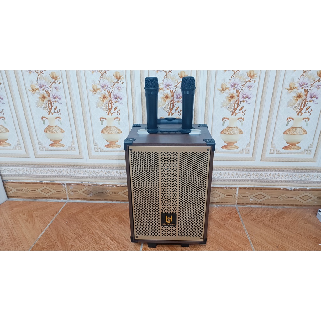 LOA KÉO DI ĐỘNG BD-9080 ÂM BASS, TREBLE CỰC CỚN, HÁT KARAOKE CỰC HAY - tặng 2 tay mic - BASS20