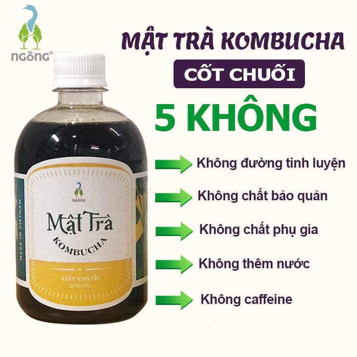 Mật Trà Kombucha Cốt Chuối 500ml- Không Đường Tinh Luyện