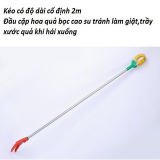 Kéo hái hoa quả trên cao