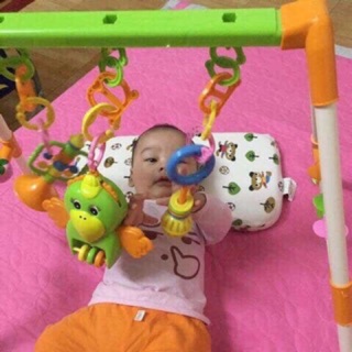 Kệ vẹt chữ A