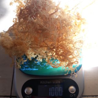 1 lạng rong sụn khô làm nộm, làm kim chi, nấu nước, nấu chè