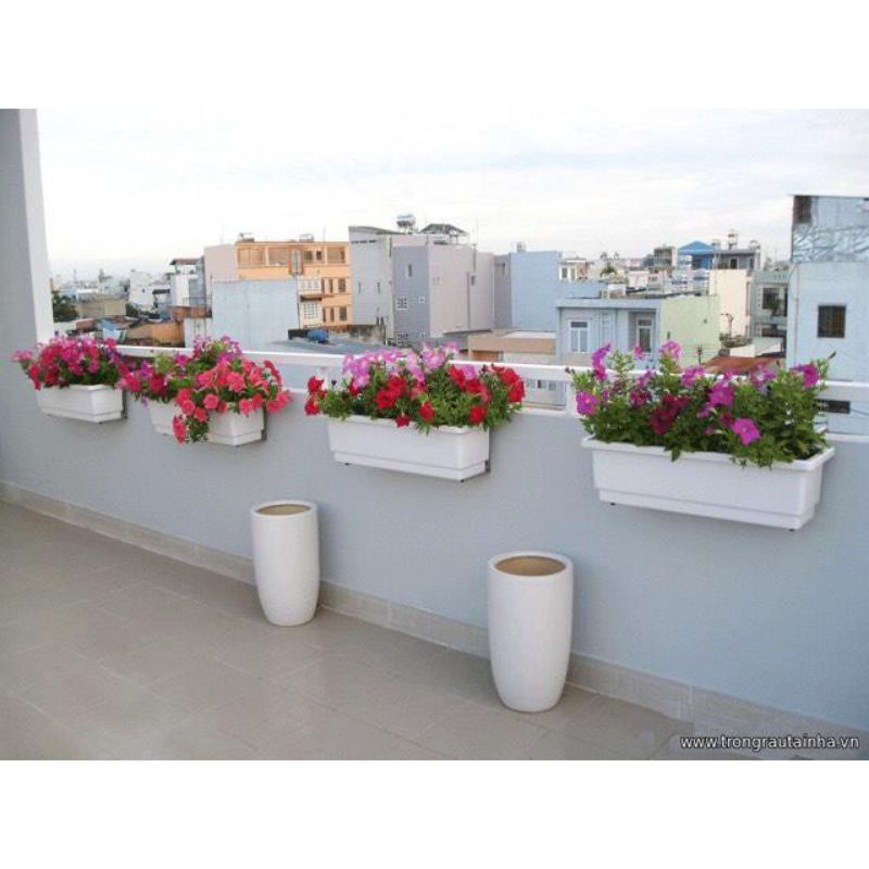 Chậu Nhựa Dài Thông Minh Trồng Hoa, Rau, Cây Cảnh -  Bền Đẹp - Size 48x20x16cm