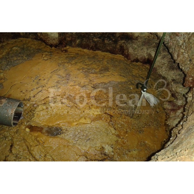Vi Sinh Ăn Mỡ Dạng Khối EcoRope - KPT CHEM - Dùng Trong Bể Mỡ, Hố Thu