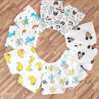 Sét 10 quần chục cotton giấy cho bé