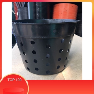 Chậu nhựa đen trồng lan nhiều lỗ F16..