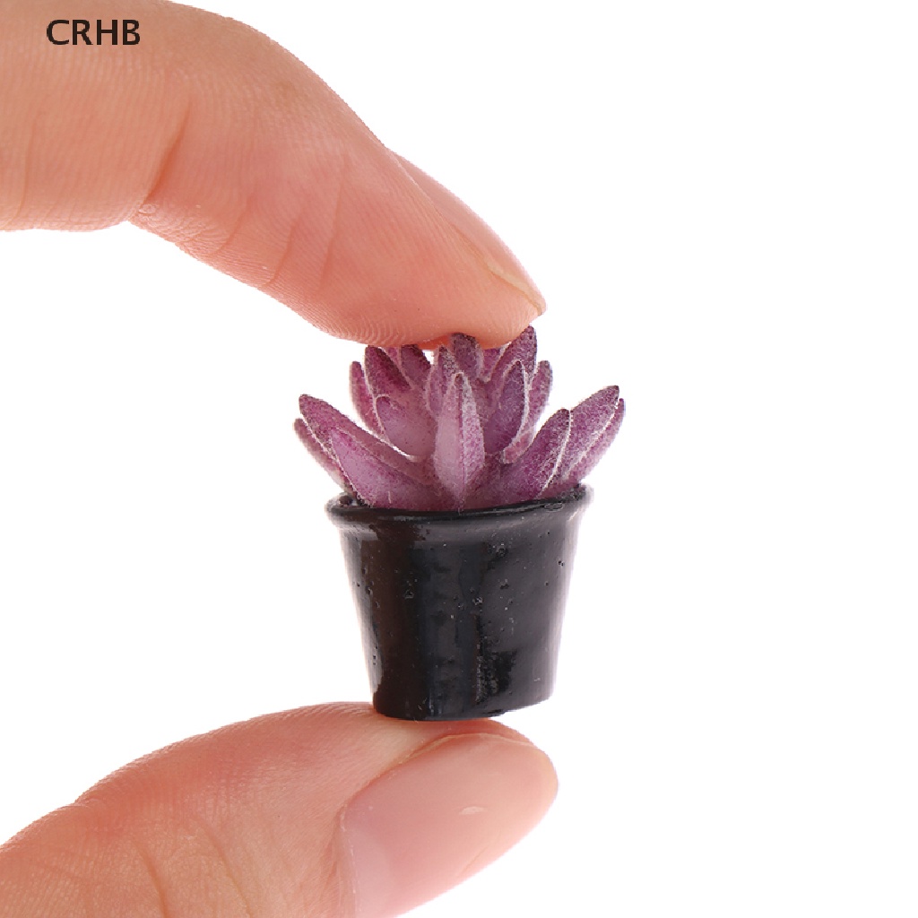 Bộ 5 Chậu Cây Trang Trí Nhà Búp Bê Tỉ Lệ 1: 12 Mới