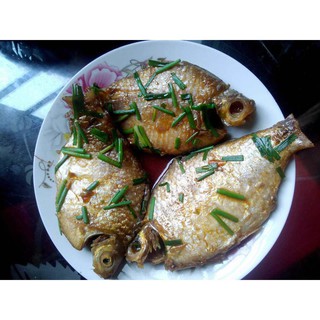 Cá mè vinh kho lạt (hộp 6lon)