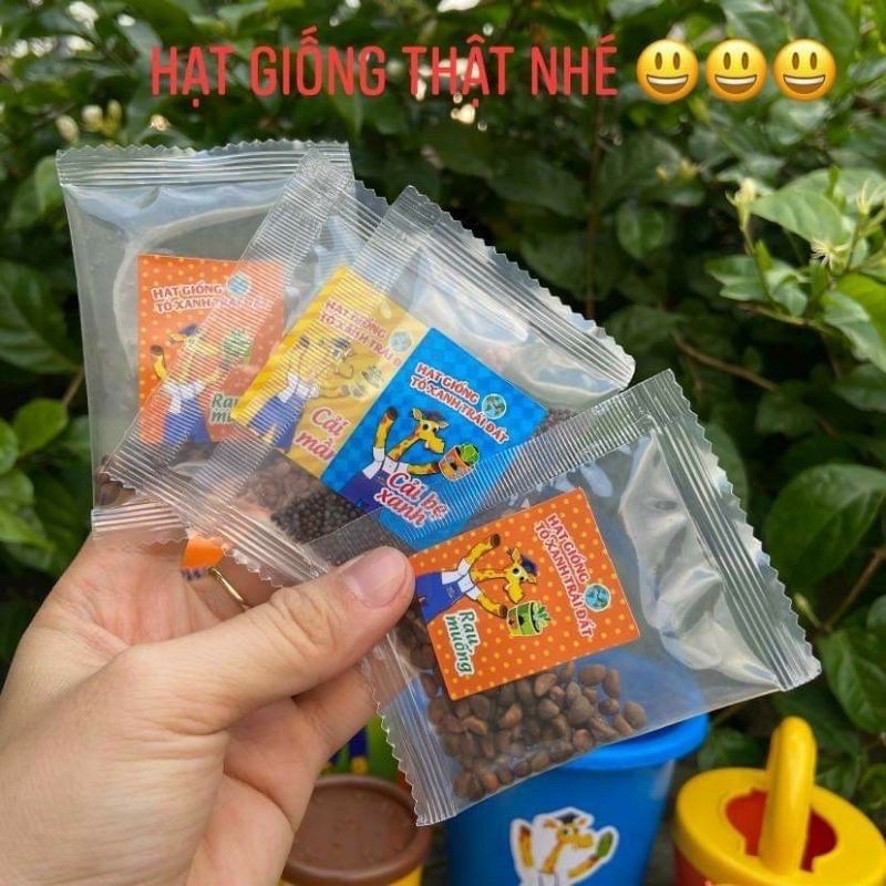 Bộ trồng cây cho bé hạt giống thật