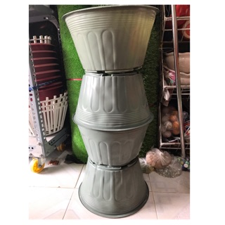 Combo 50 chậu trồng cây 28*16