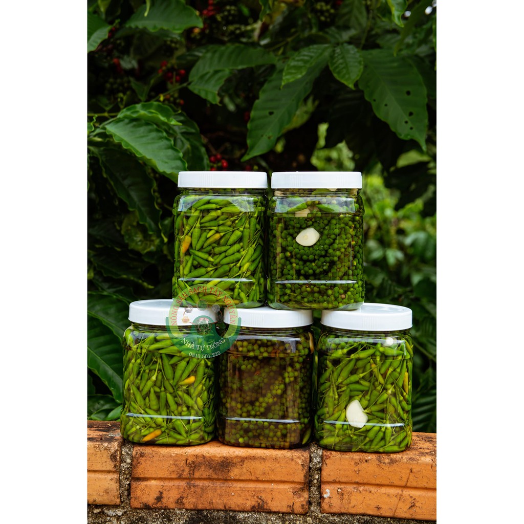 [ Đặc Sản Tây Nguyên ] Tiêu Xanh Ớt xiêm rừng Tỏi Ngâm Mắm Nhĩ Loại Ngon 1kg | BigBuy360 - bigbuy360.vn
