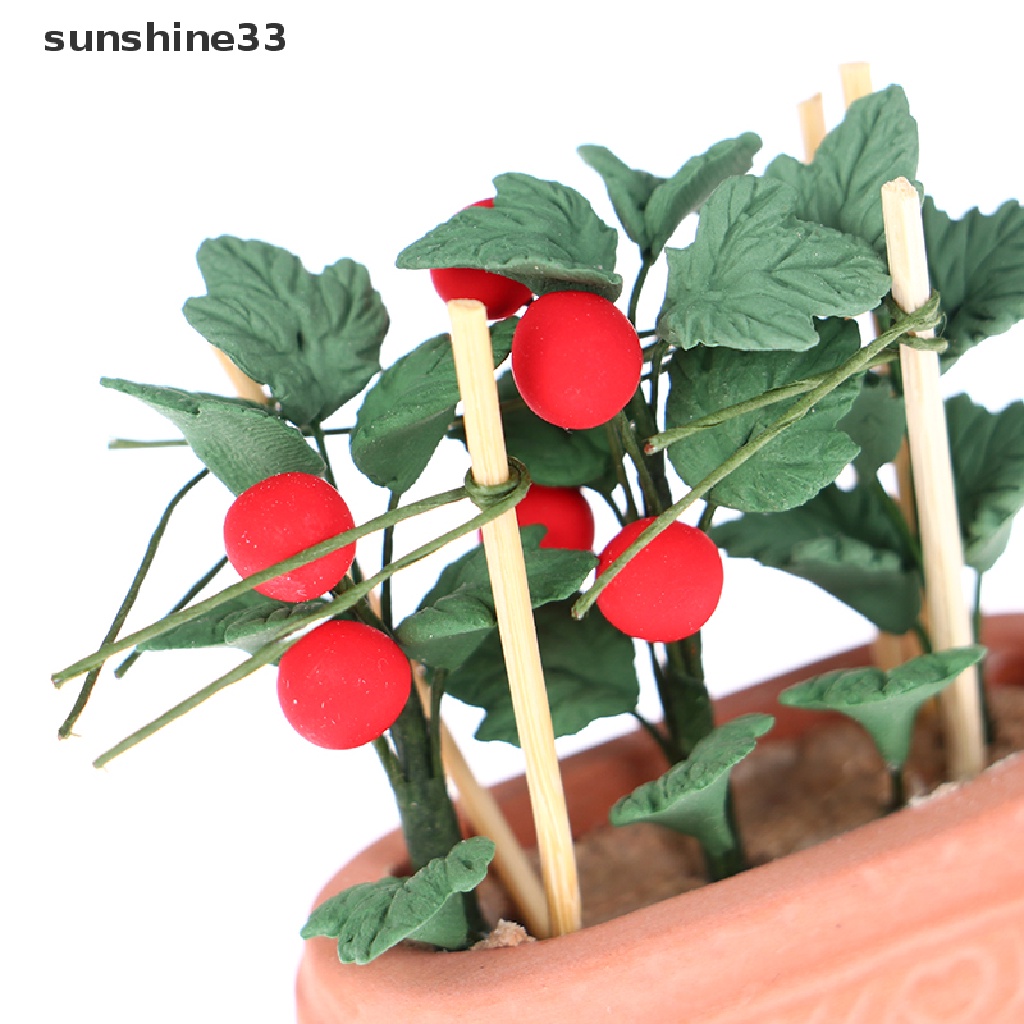 Mô Hình Chậu Cây Cà Chua Mini Tỉ Lệ 1: 12 Trang Trí Nhà Búp Bê