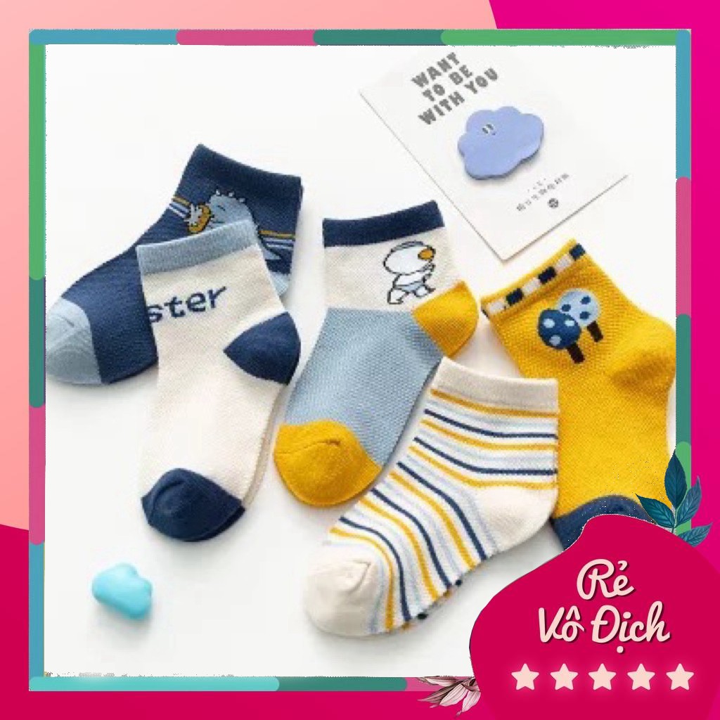 Set 5 đôi tất cho bé trai và gái 1-5 tuổi chất liệu cotton cực kỳ co giãn và mềm mại TAT03