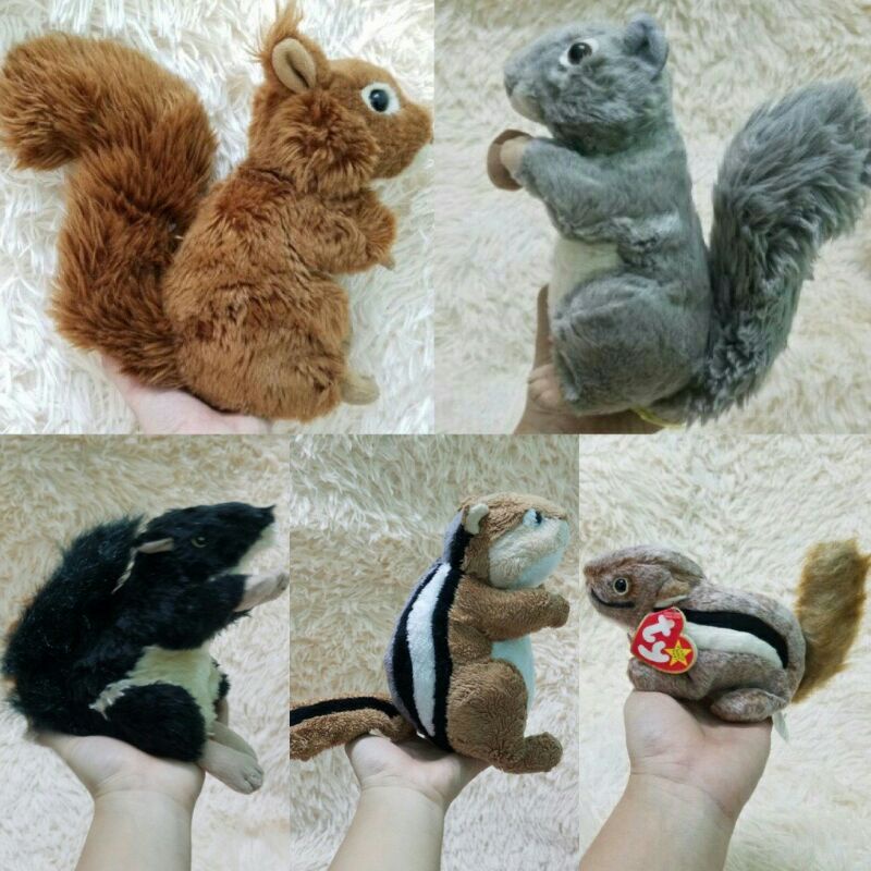 Gấu bông con sóc giống như thật